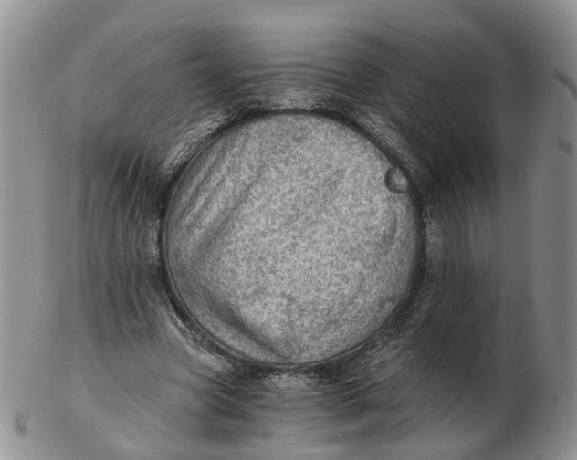 X0000103160537200809121840