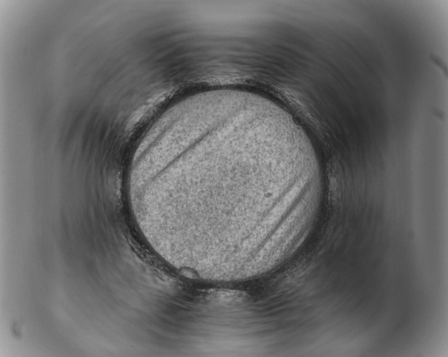 X0000103160539200809121840