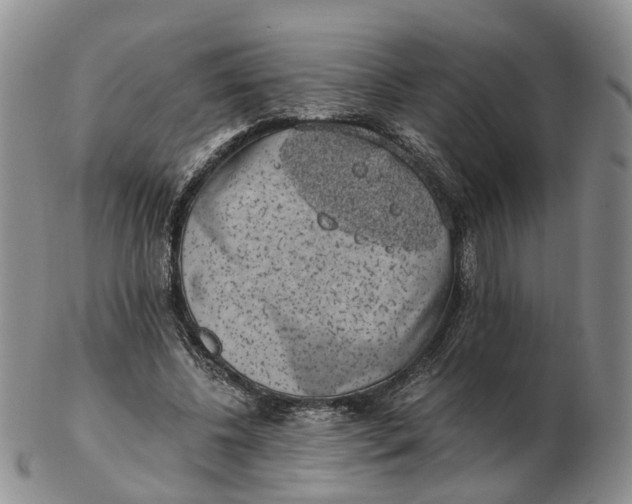 X0000103160540200809121840