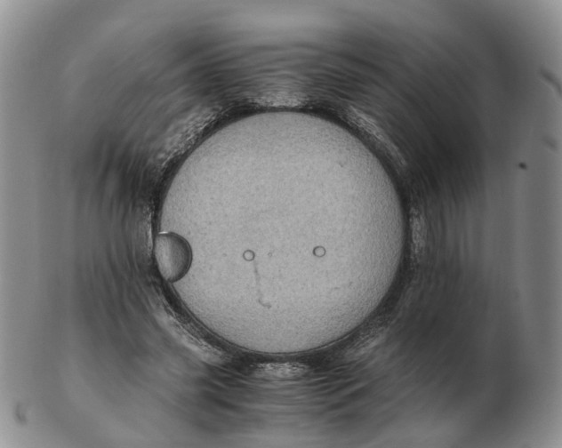 X0000103160541200809121840