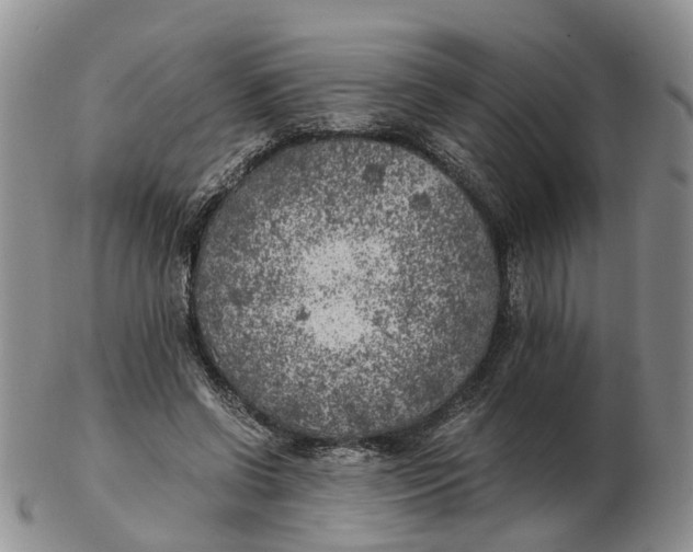 X0000103160542200809121840