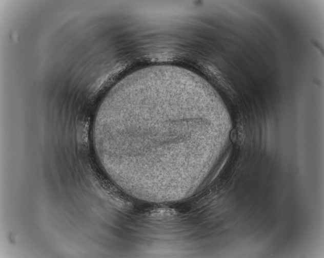 X0000103160543200809121840