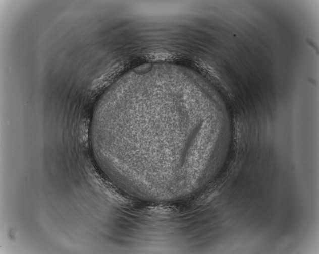 X0000103160545200809121840