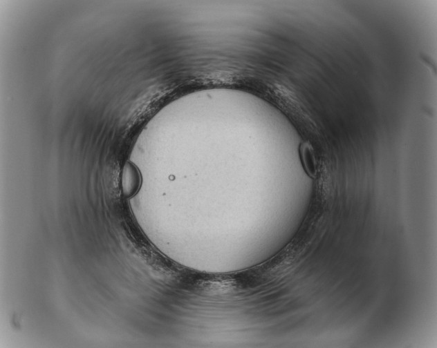 X0000103160548200809121840