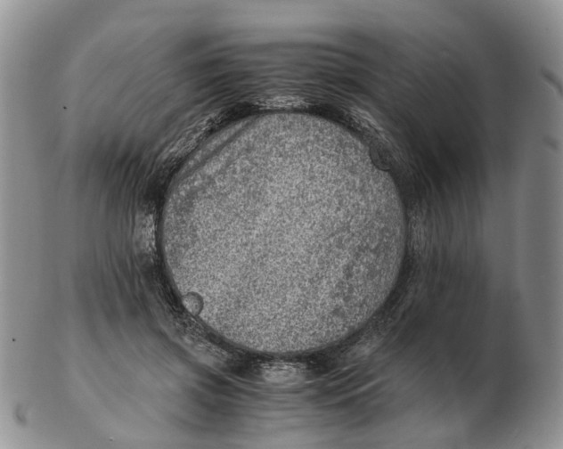 X0000103160549200809121840