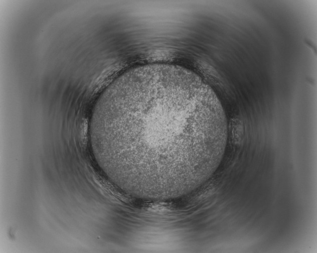 X0000103160550200809121840