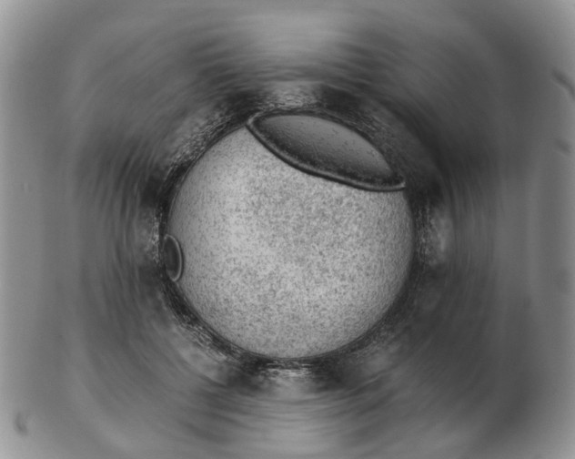 X0000103160552200809121840