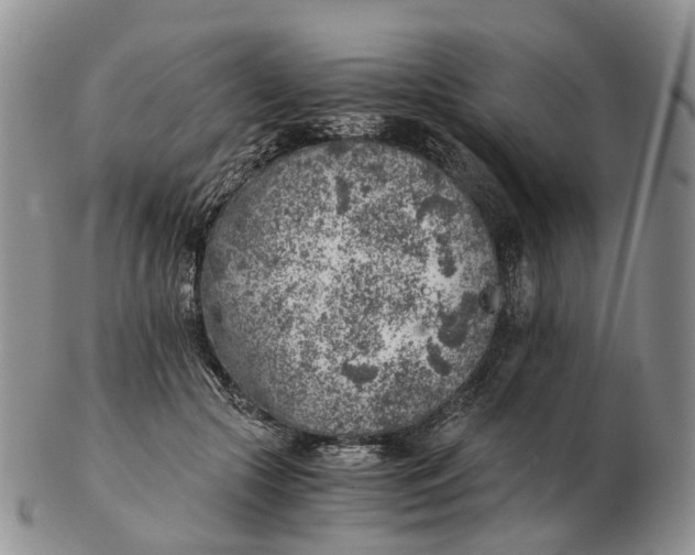 X0000103160553200809121840