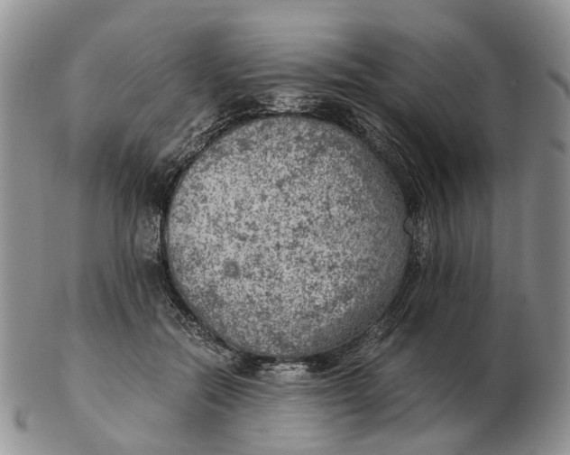 X0000103160554200809121840