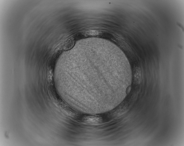 X0000103160555200809121840