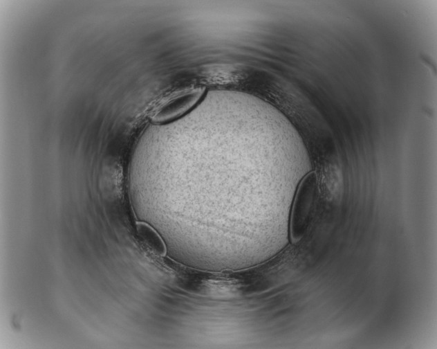 X0000103160556200809121840