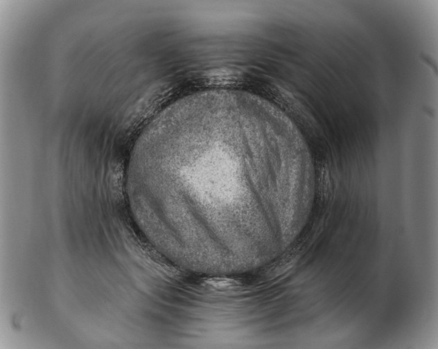 X0000103160557200809121840