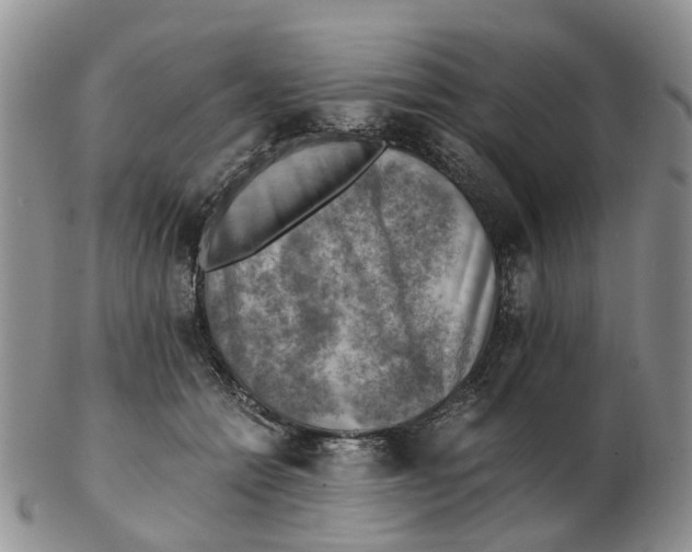 X0000103160558200809121840