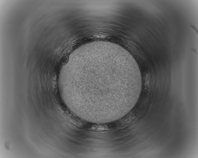 X0000103160559200809121840