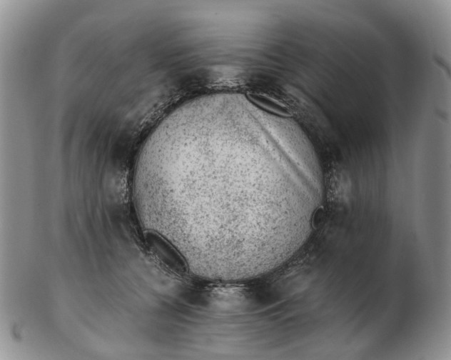 X0000103160560200809121840