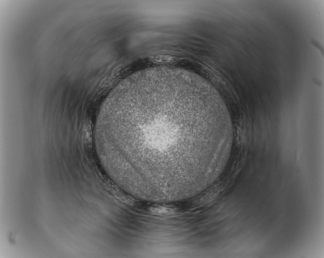 X0000103160561200809121840