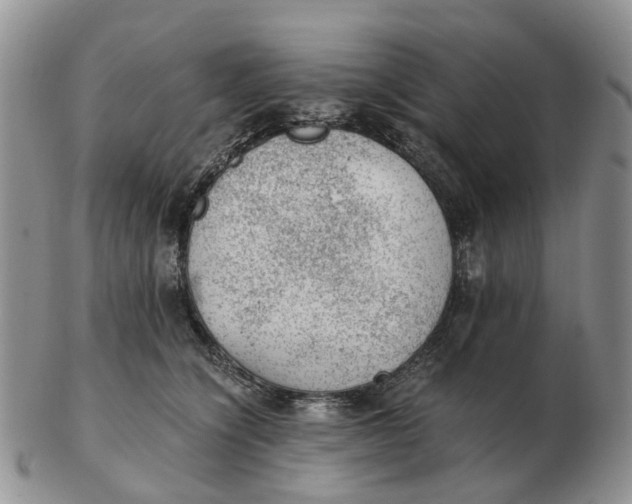 X0000103160564200809121840