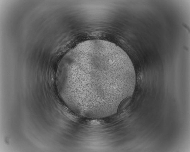 X0000103160566200809121840