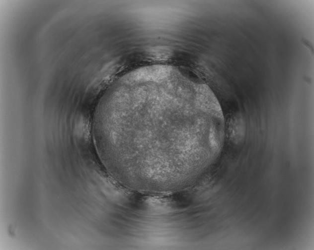 X0000103160568200809121840