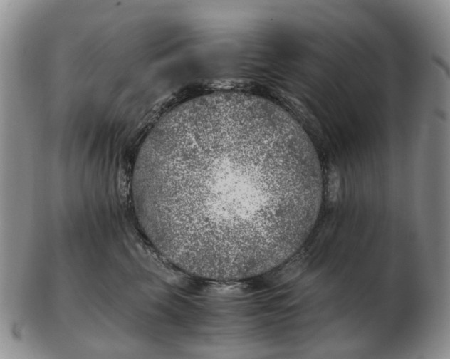 X0000103160569200809121840