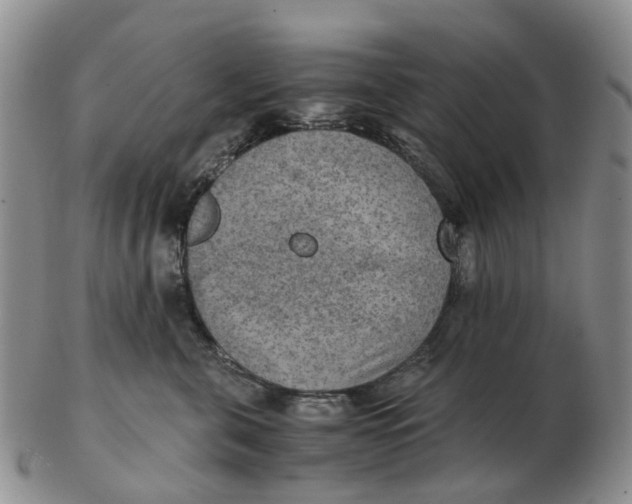 X0000103160571200809121840