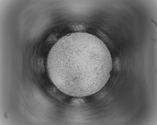 X0000103160572200809121840