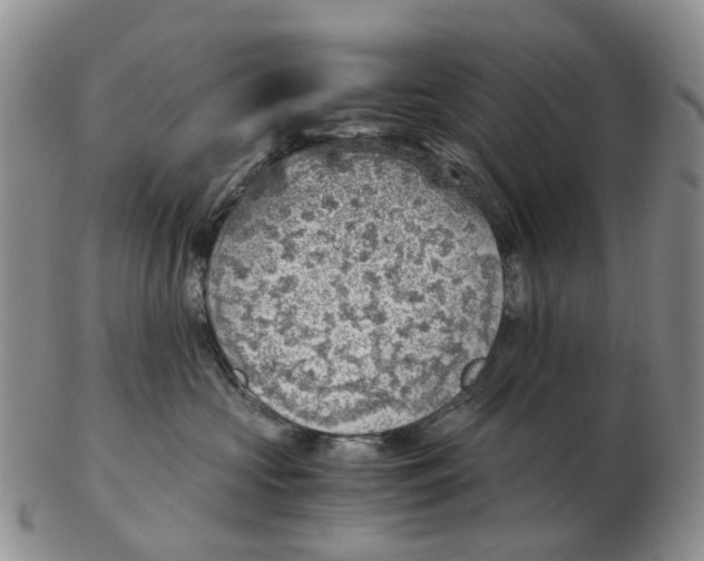 X0000103160573200809121840