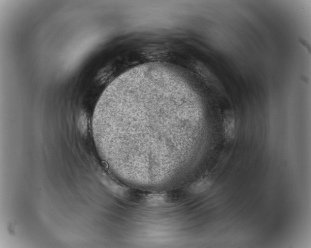 X0000103160574200809121840