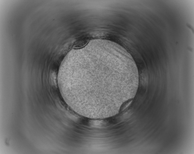 X0000103160575200809121840