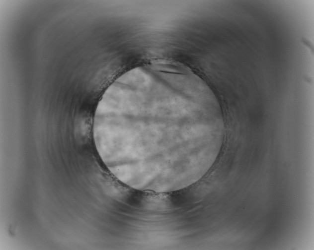 X0000103160576200809121840