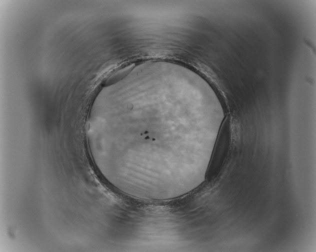 X0000103160577200809121840