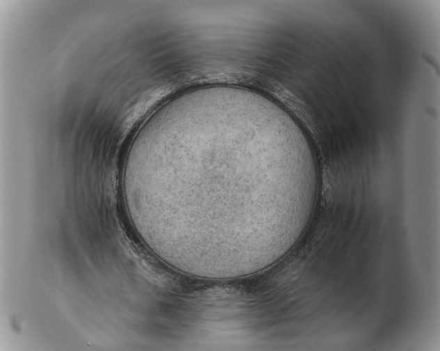 X0000103160578200809121840