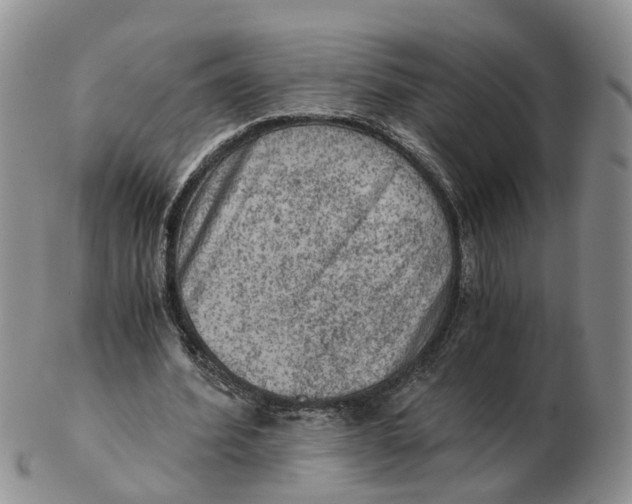 X0000103160580200809121840