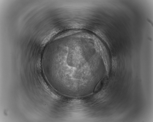 X0000103160581200809121840