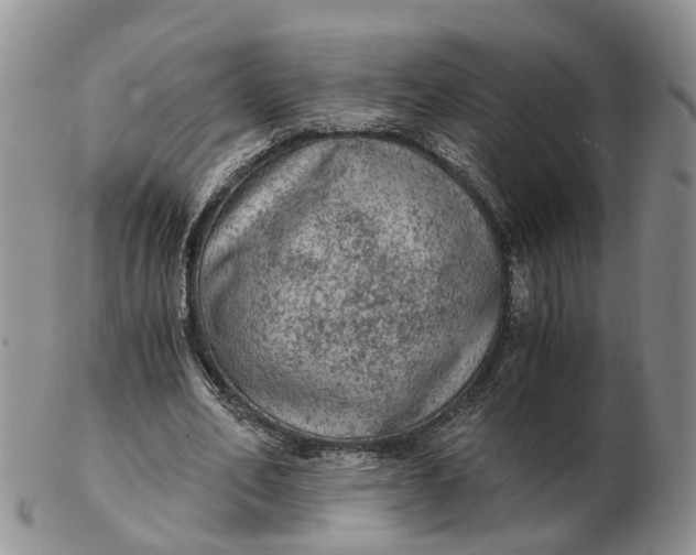 X0000103160582200809121840