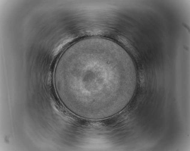 X0000103160583200809121840