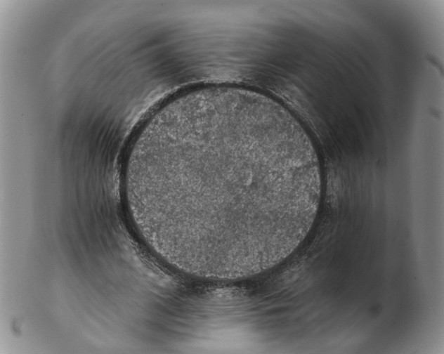 X0000103160584200809121840