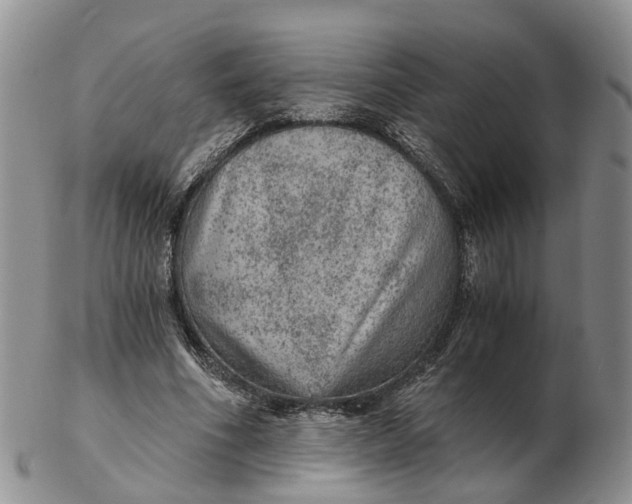 X0000103160586200809121840