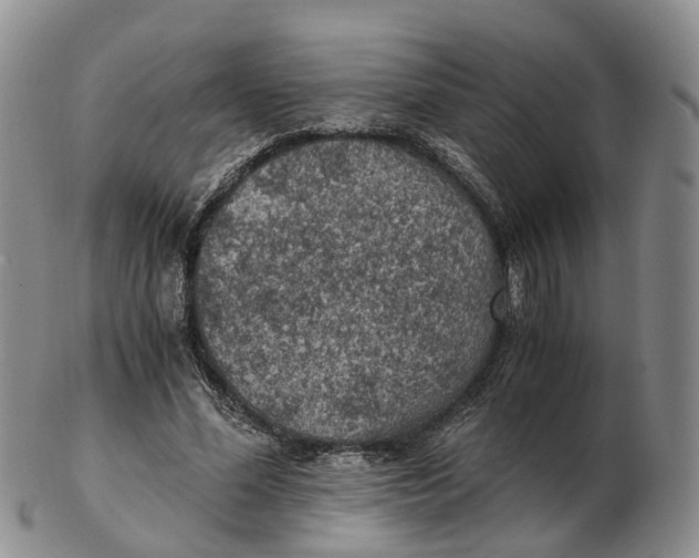 X0000103160588200809121840