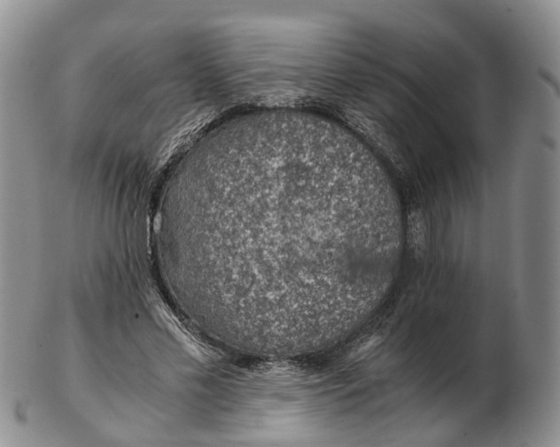 X0000103160589200809121840