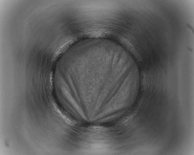 X0000103160590200809121840