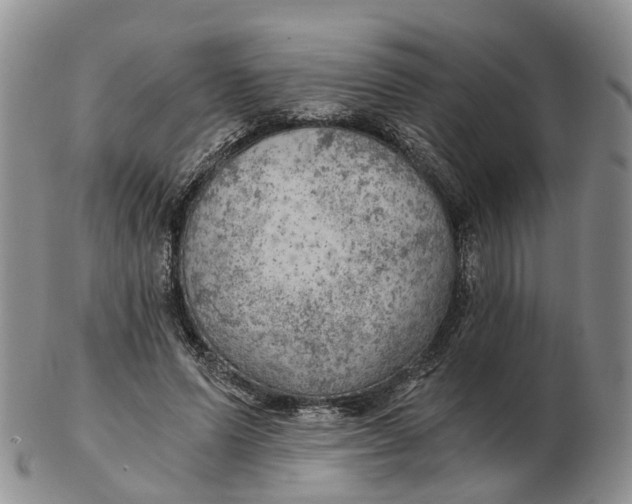 X0000103160591200809121840