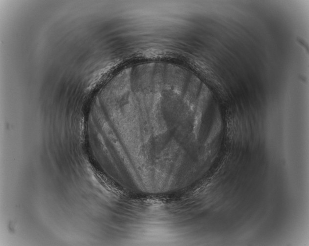 X0000103160592200809121840