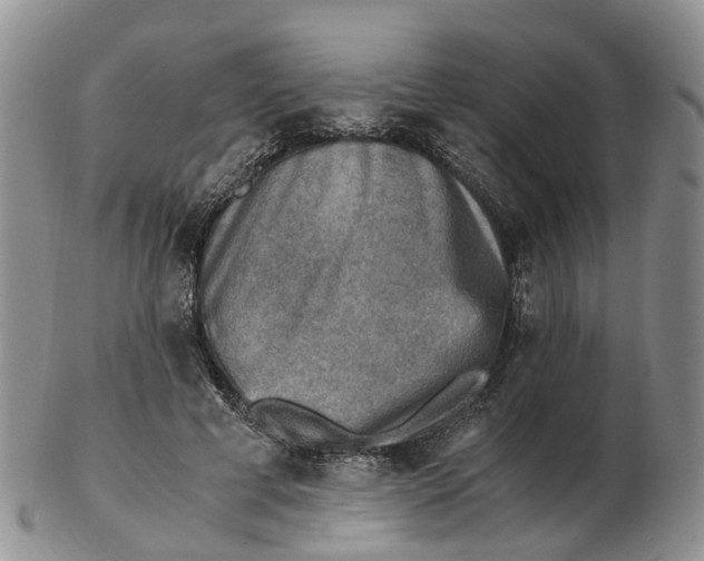 X0000103160593200809121840