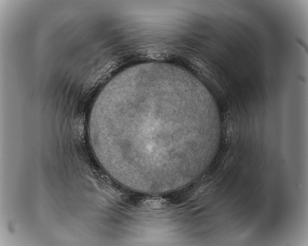 X0000103160595200809121840