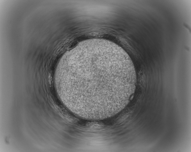 X0000103160597200809121839