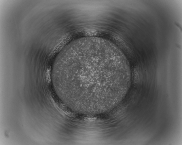 X0000103160598200809121839