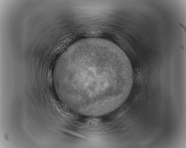 X0000103160599200809121839