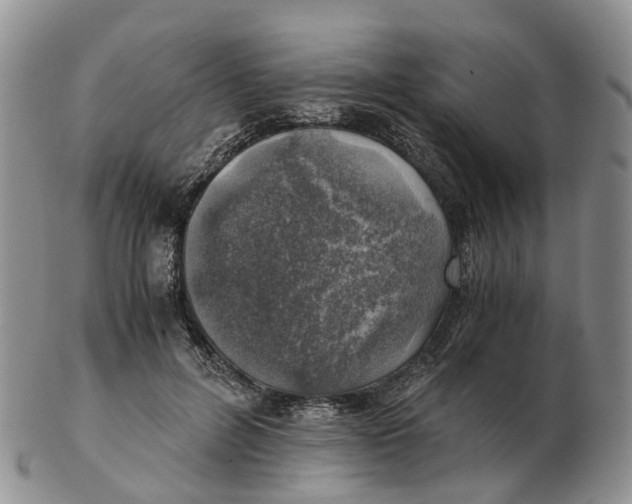 X0000103160600200809121839