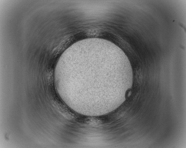 X0000103160601200809121839